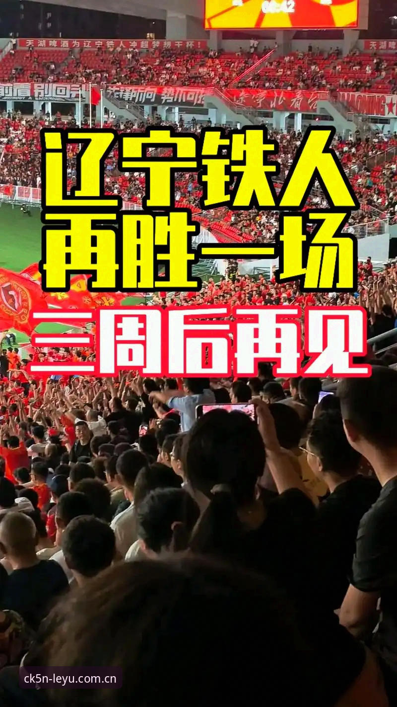 安卓安全启航版客户端下载对比 间歇期看懂辽宁铁人变阵的实用指南——从瓦吉奇离队到三中卫体系